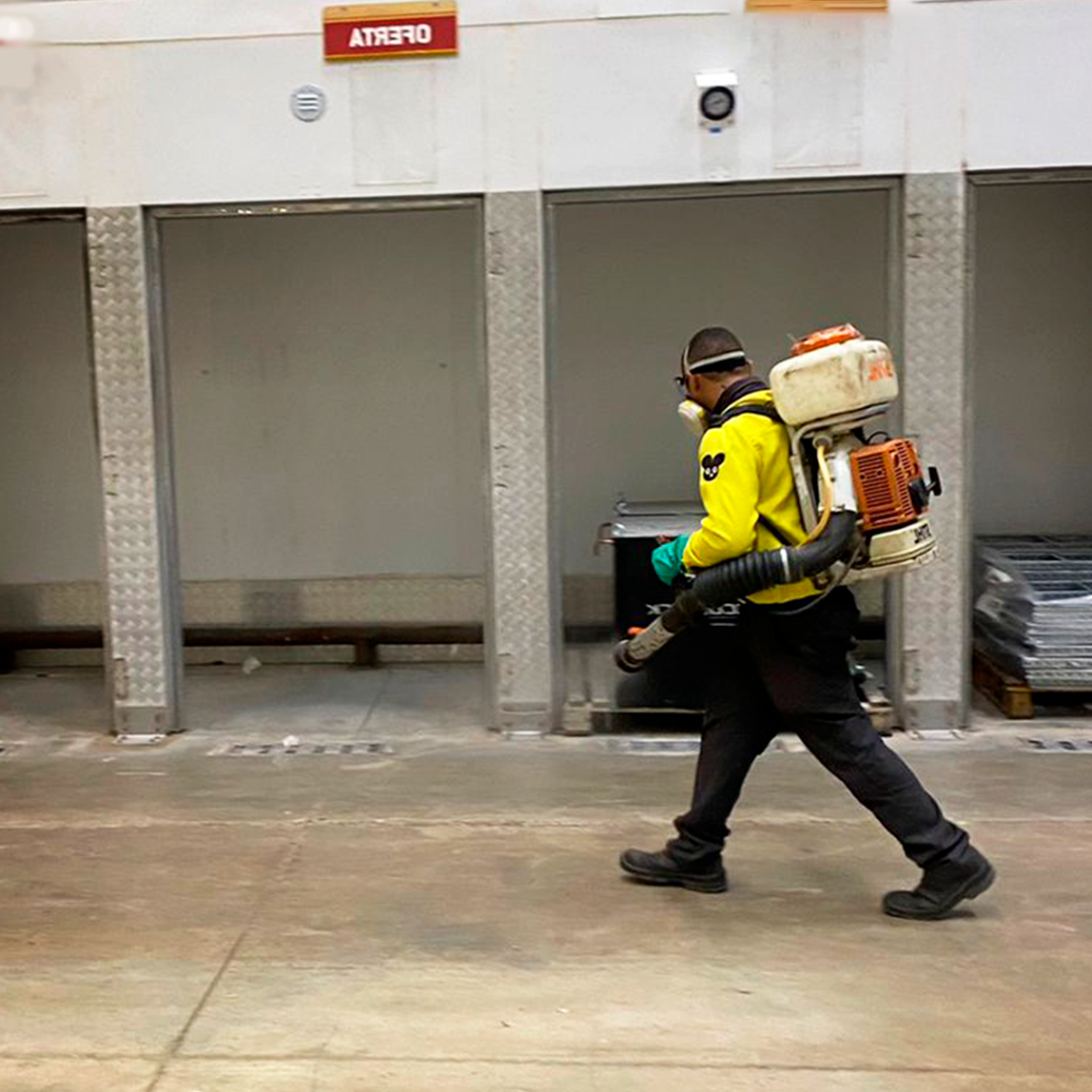 E-Control: Soluções Eficazes em Controle de Pragas Urbanas